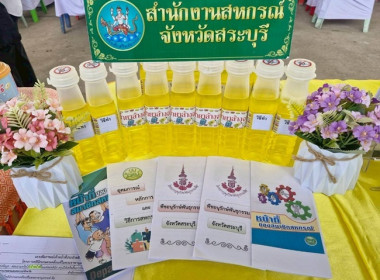 กลุ่มจัดตั้งและส่งเสริมสหกรณ์ ... พารามิเตอร์รูปภาพ 11